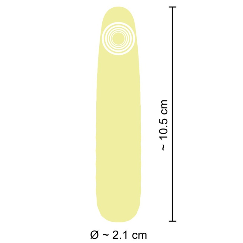 Vibrator von Cuties mit Abmessungen